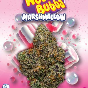 Hubba Bubba