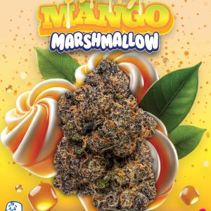 Honey Mango