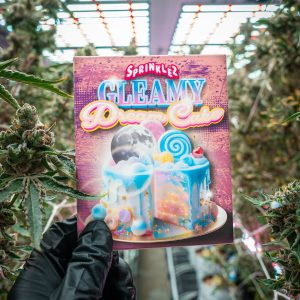 Gleamy Dream Cake