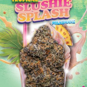 Tropical Slushie Splash Milkshake