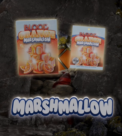 Blood Orange Marshmallow